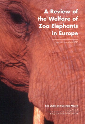 A Review of the Welfare of Zoo Elephants in Europe - In Defense of ...