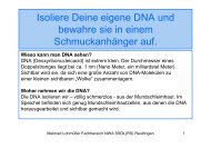 DNA-Isolierung/Aufbewahrung im Schmuckanhänger