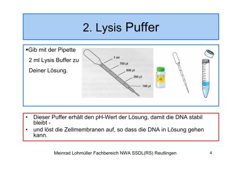 DNA-Isolierung/Aufbewahrung im Schmuckanhänger