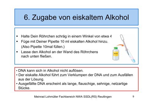 DNA-Isolierung/Aufbewahrung im Schmuckanhänger