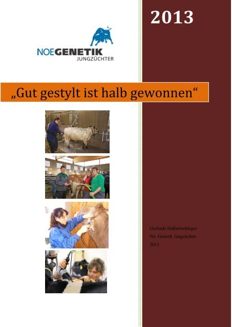 „Gut gestylt ist halb gewonnen“ - Produkte