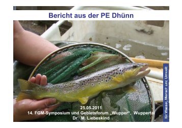 (Dr. Marlene Liebeskind, Wupperverband) 5,8 MB pdf