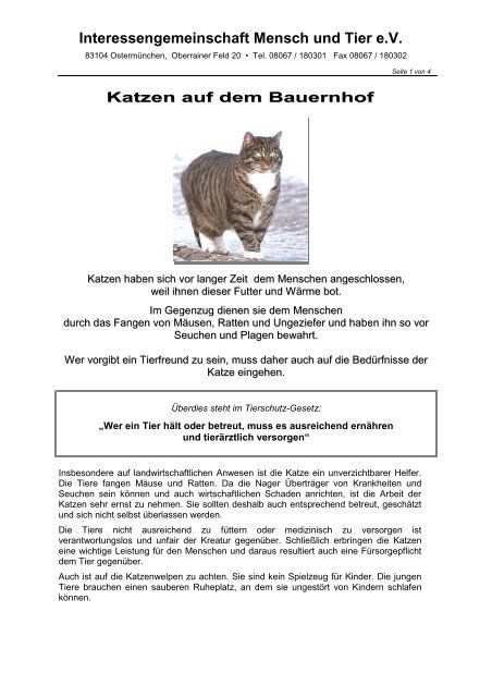 KATZEN_Katzen-auf-dem Bauernhof.pdf