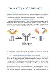 Travaux pratiques d'immunologie