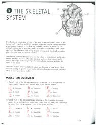 AP Skeletal System Packet Key - Keller ISD Schools
