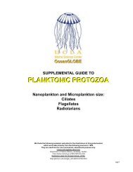 Supplemental Guide to Planktonic Protozoa