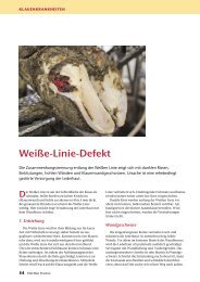 Weiße-Linie-Defekt - Elite