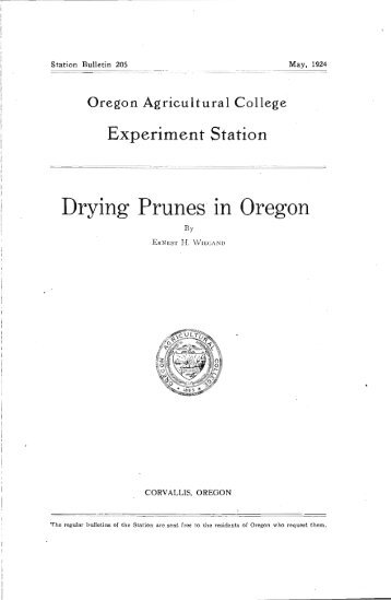 Drying Prunes in Oregon