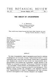The origin of angiosperms