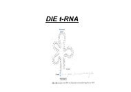 DIE t-RNA