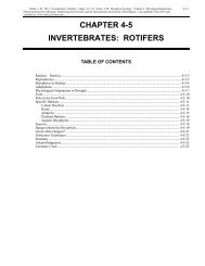 Chapter 4-5 Invertebrates Rotifers - Bryophyte Ecology - Michigan ...