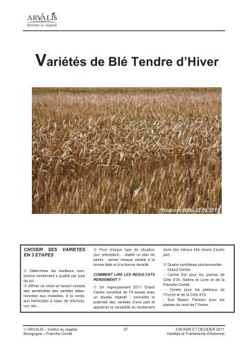 Variétés de Blé Tendre d'Hiver - Terre-net