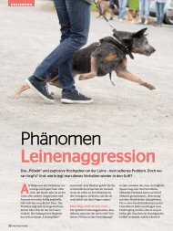 Phänomen Leinenaggression - Hunde-Akademie Perdita Lübbe