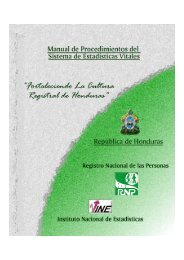 Manual Procedimientos Estadisticas vitales RNP ine.pdf - Registro ...