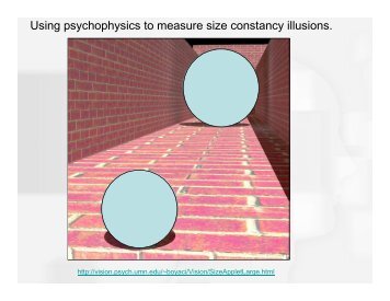 Using psychophysics to measure size constancy illusions.