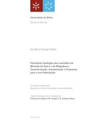 Ana Maria Santiago PatalÃ£o PatrimÃ³nio GeolÃ³gico dos concelhos ...