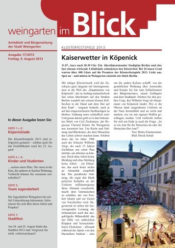 Ausgabe 17/2013 - Weingarten im Blick