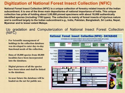 Forestry Research in India: Status, Issues ... - TERI University