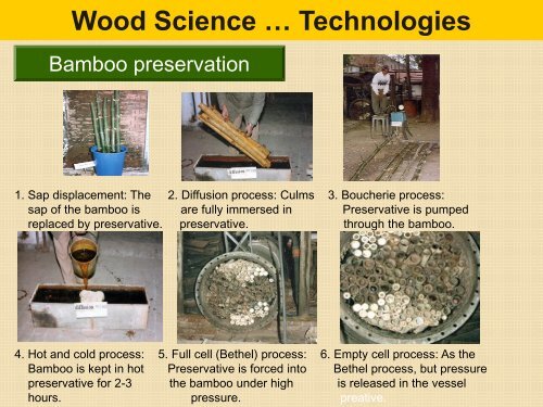 Forestry Research in India: Status, Issues ... - TERI University