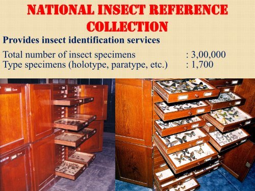 Forestry Research in India: Status, Issues ... - TERI University