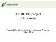 FFI - REDD Project in Indonesia - Forest Climate Center