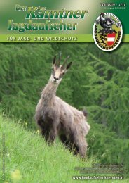 Für Jagd- und Wildschutz - Jagdaufseher Kärnten