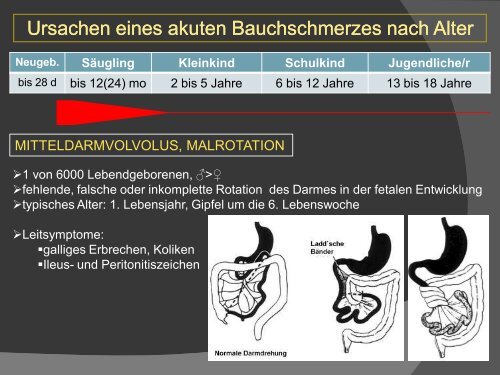 Download - Primarius Dr. Thomas MAYRHOFER Facharzt für ...