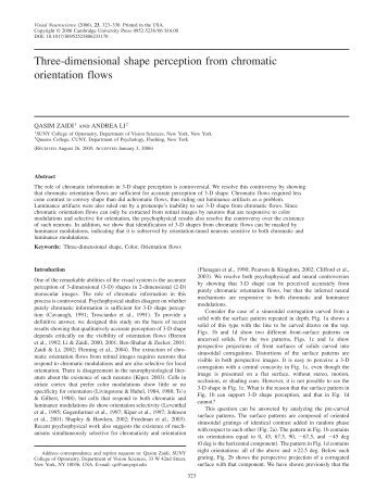 Three-dimensional shape perception from chromatic orientation flows