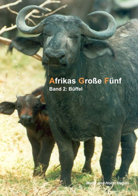Afrikas Große Fünf - Jorzik-Postels GbR: Startseite
