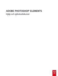 Manual till Photoshop Elements 12 (PDF) - Adobe