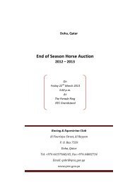 End of Season Horse Auction - Qatar Racing and Equestrian Club