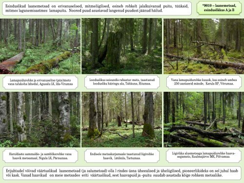 Loodusdirektiivi metsaelupaikade inventeerimise juhendi piltidega lisa