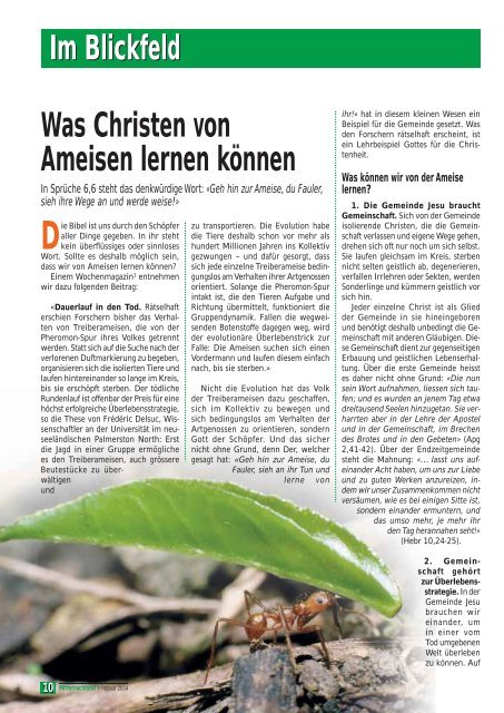 MNR 2004-02.pdf - Missionswerk Mitternachtsruf