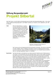 Stiftung Bergwaldprojekt Projekt Silbertal