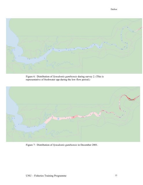 Fish species abundance and distribution in The Gambia estuary