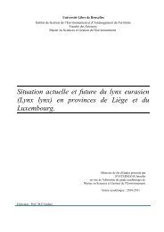 pdf - Université Libre de Bruxelles