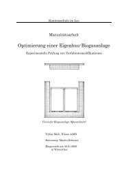 Optimierung einer Eigenbau Biogasanlage - NGW