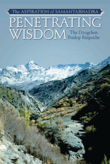 Penetrating Wisdom The Aspiration of Samantabhadra.pdf - promienie