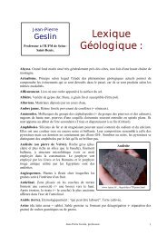 Lexique geologique J-P Geslin.pdf - Free