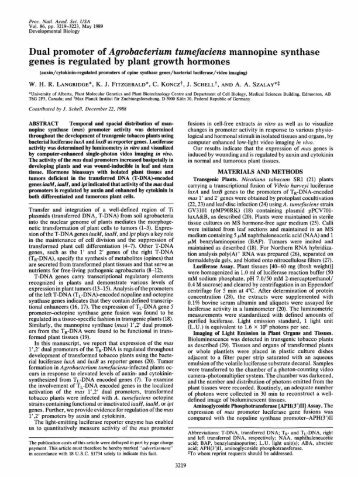 Dual promoter of Agrobacterium tumefaciens mannopine synthase ...