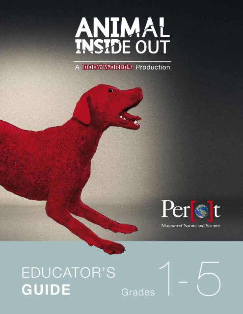 Download 1-5th Grade - Perot Museum of Nature and Science