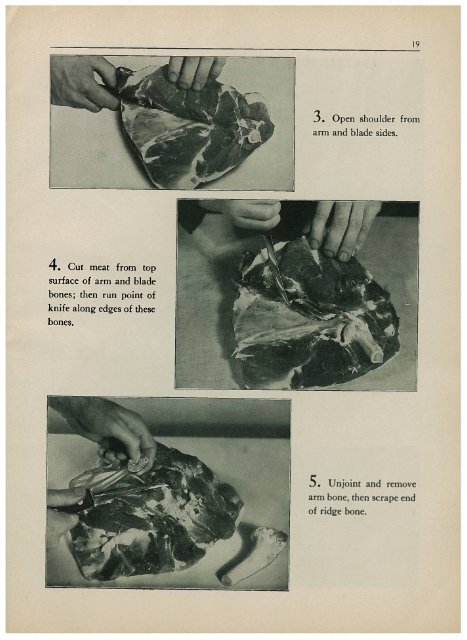 Handbook on Cutting Lamb - Preppers