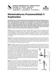 Kleinstrukturen-Praxismerkblatt 5 Kopfweiden - Pro Natura Fribourg