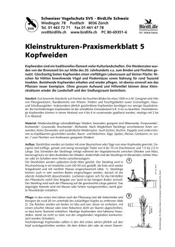 Kleinstrukturen-Praxismerkblatt 5 Kopfweiden - Pro Natura Fribourg