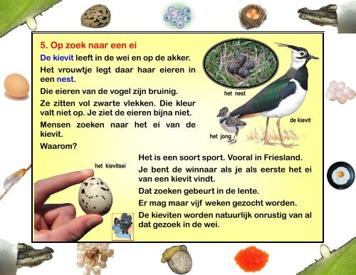 Een ei hoort erbij - Eduboek.nl