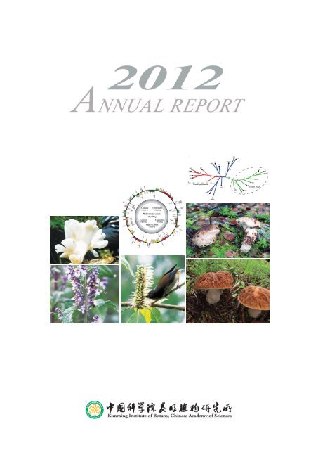 ANNUAL REPORT Kunming Institute of Botany, Chinese Academy ...