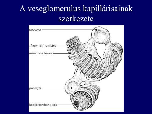 A kiválasztás