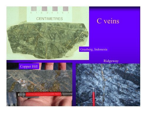 Influence of magmatic arc geothermal systems on porphyry ...