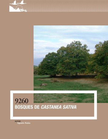 9260 Bosques de Castanea sativa - Jolube