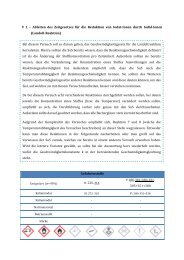 V 1 - Unterrichtsmaterialien Chemie